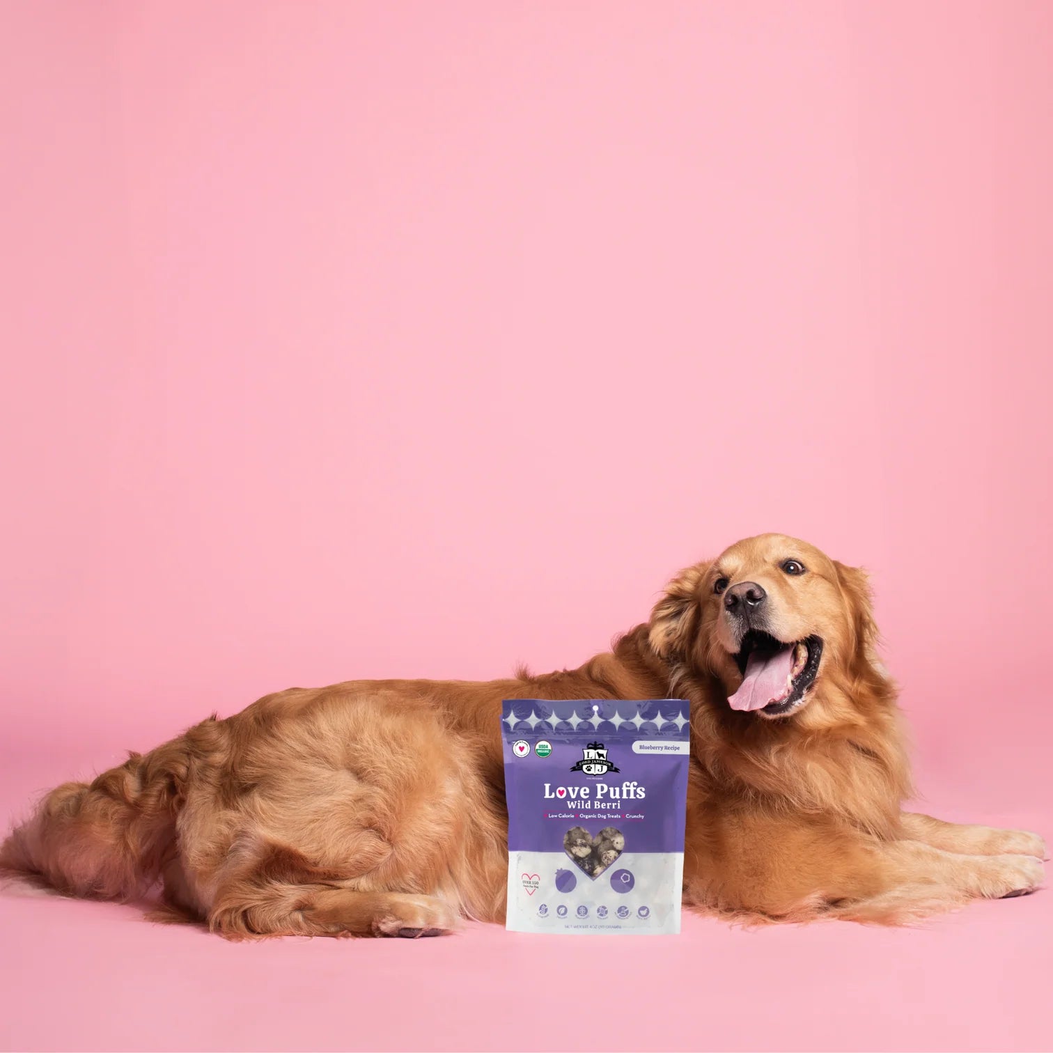 Wild Berri Organic Dog Treats