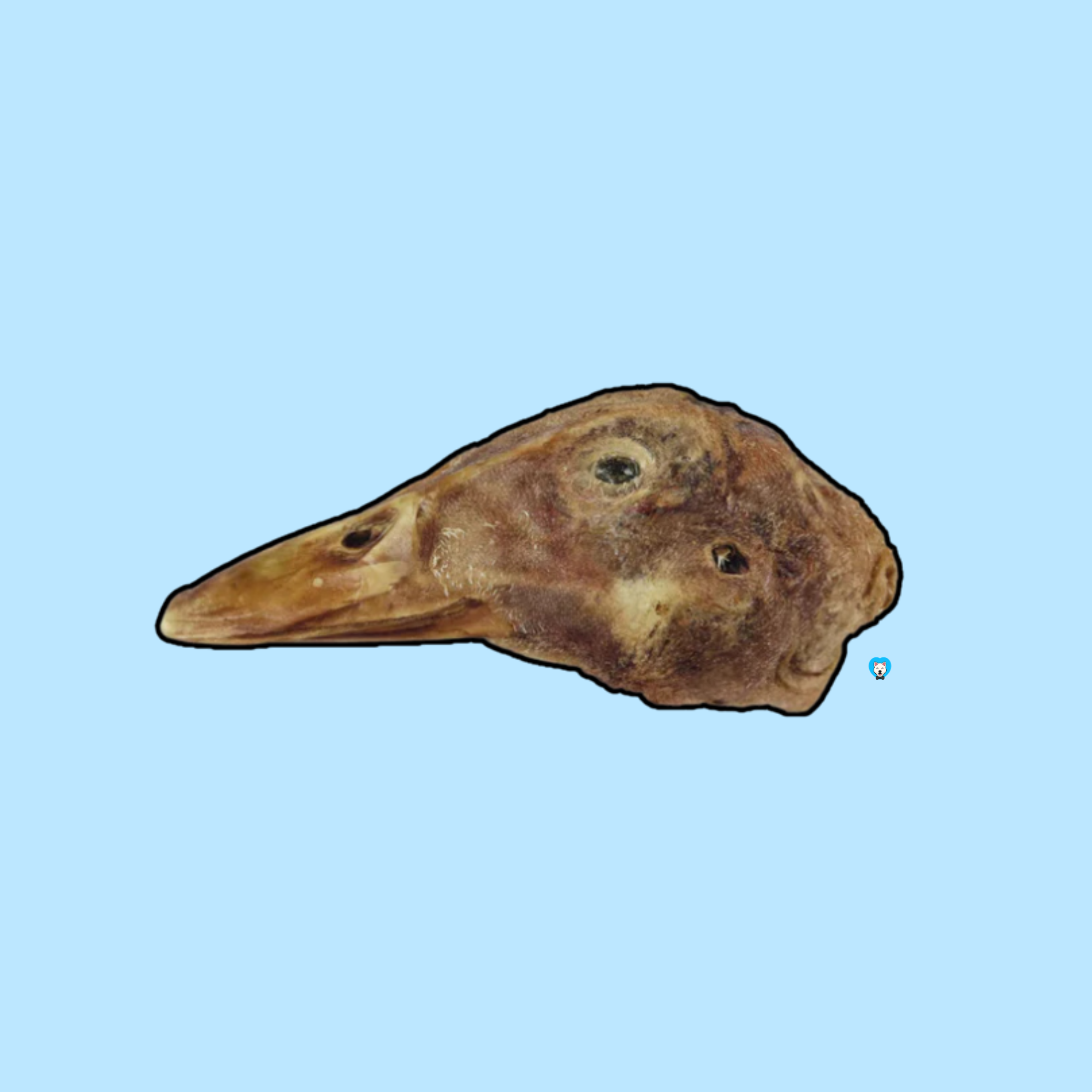 Duck Heads