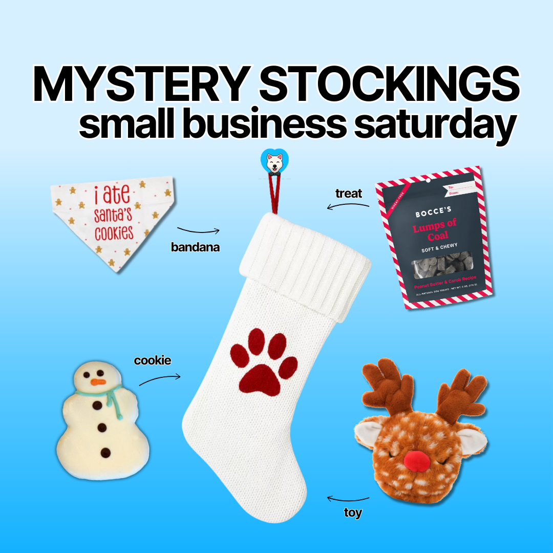 Puptqe Mystery Stockings for Your Dog!