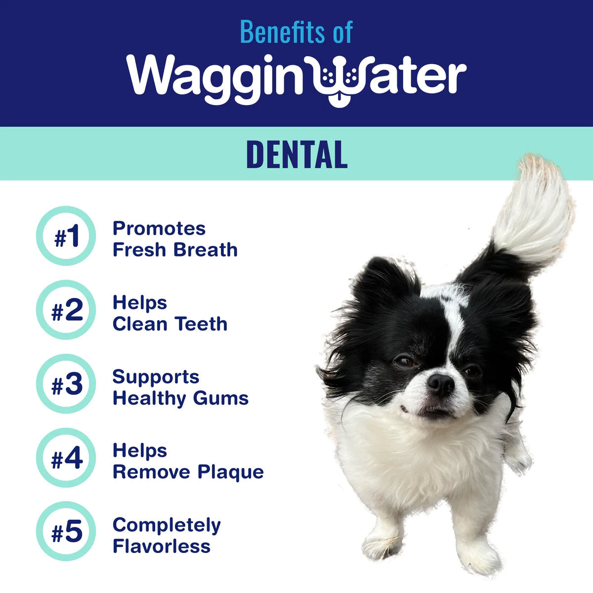 Waggin Water - DENTAL