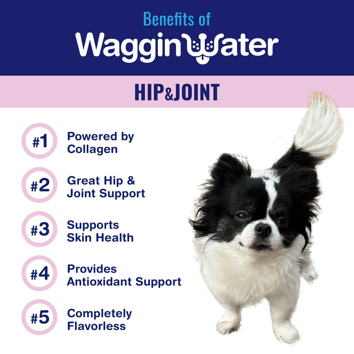 Waggin Water - HIP & JOINT