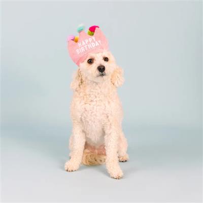 If The Crown Fits Plush Dog Toy