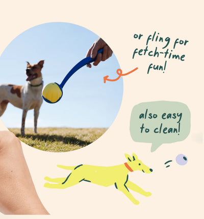 Flyball 3 Pack