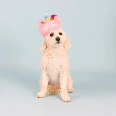 Petshop By Fringe Studio If the Crown Fits Plush Dog Toy