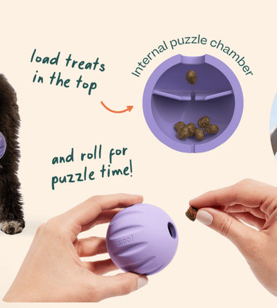 Flyball 3 Pack