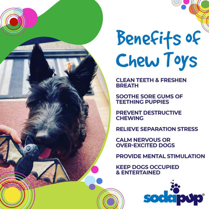 Vampire Bat Ultra Durable Nylon Dog Chew Toy for Aggressive Chewers
