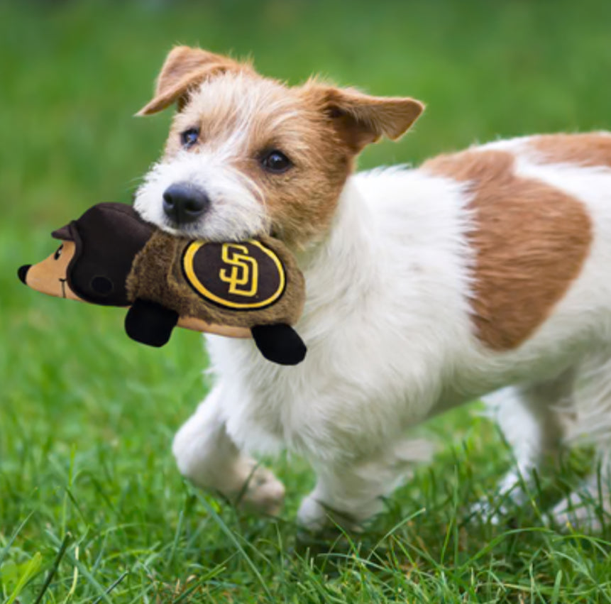 San Diego Padres Plush Hedgehog