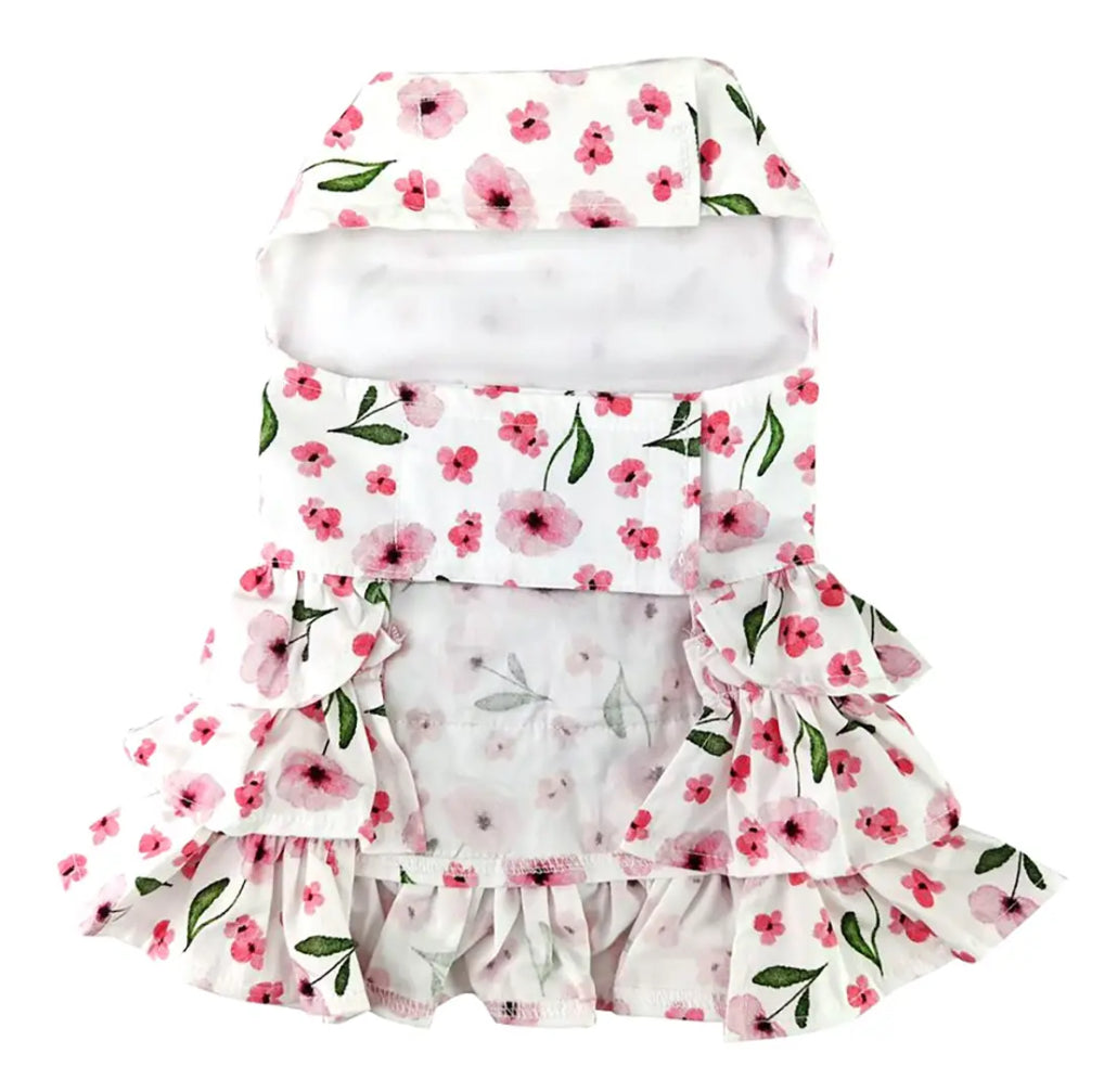 Spring Wildflower Dress with Matching Leash