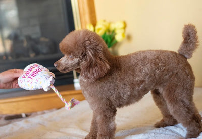 Birthday Balloon With Rope