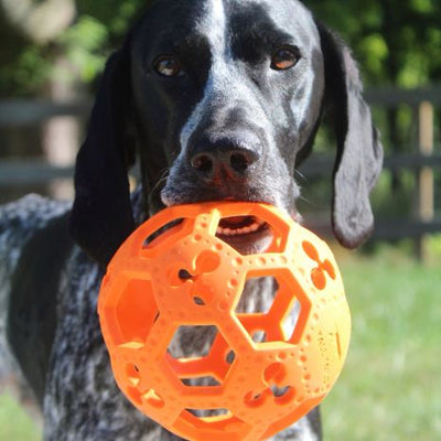 GOAT Sport Flex-A-Ball
