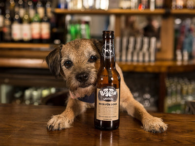 Bottom Sniffer Non-Alcoholic Beer For Dogs