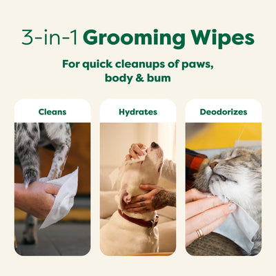 Dog Grooming Wipes White Tea & Basil