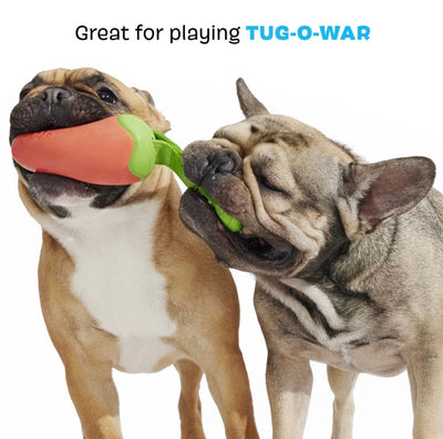 Habanero Pupper Chew Toy