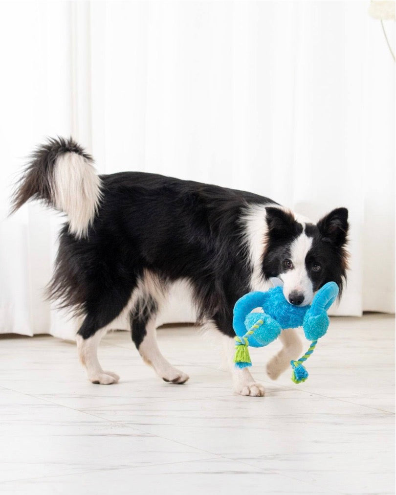 Loopy Tug Monster