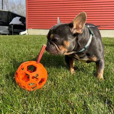 GOAT Sport Flex-A-Ball