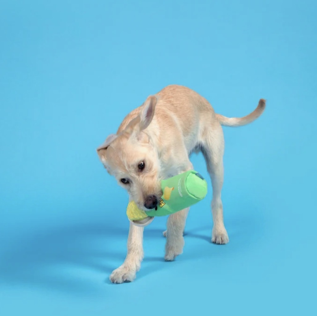 Fingles Can Plush Tug Toy