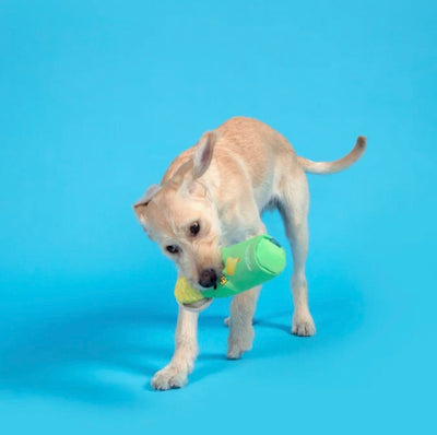 Fingles Can Plush Tug Toy