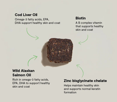 Skin & Coat Supplemental Chews