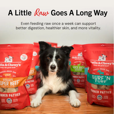 Beef & Salmon Freeze-Dried Raw Dinner Patties for Puppies