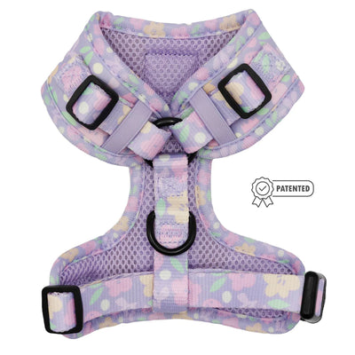 Harness - Fleur De Sass