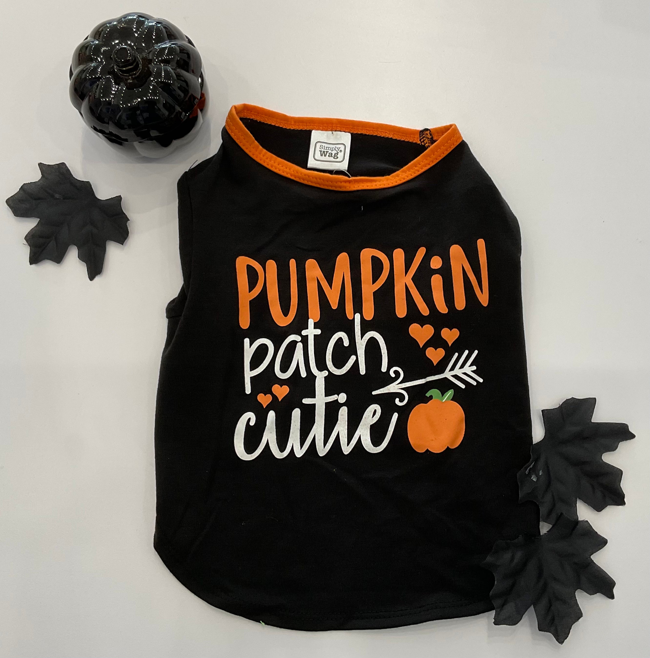 Pumpkin Patch Cutie Dog Shirt