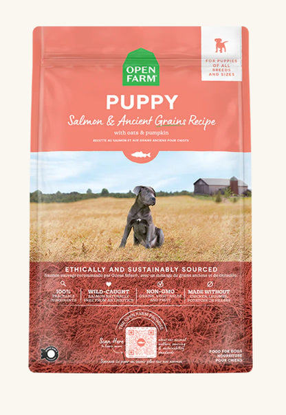 Salmon & Ancient Grains Puppy Food