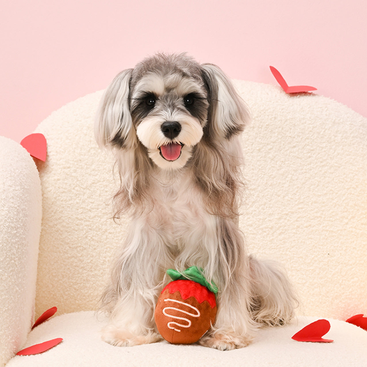 Woof Love - Chocolate Strawberry