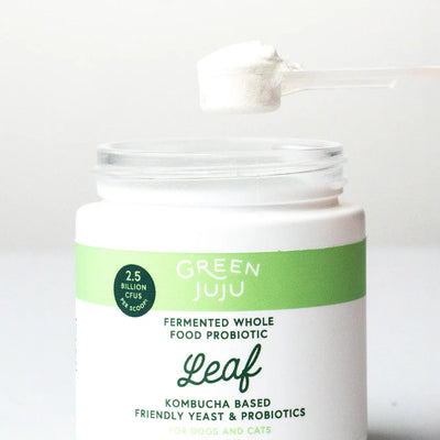 Leaf - Fermented, Kombucha-Based Probiotic