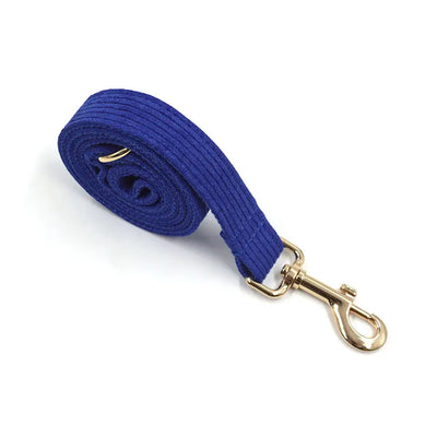 Puptqe Blue Corduroy Dog Leash