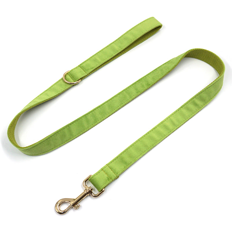 Puptqe Green Velvet Dog Leash