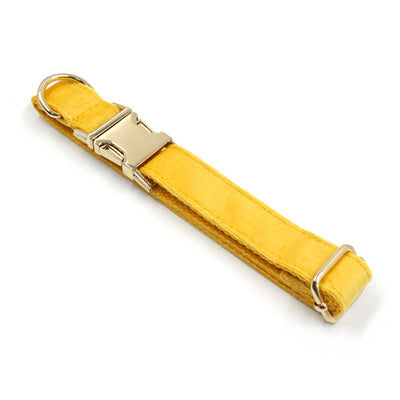 Puptqe Yellow Velvet Dog Collar