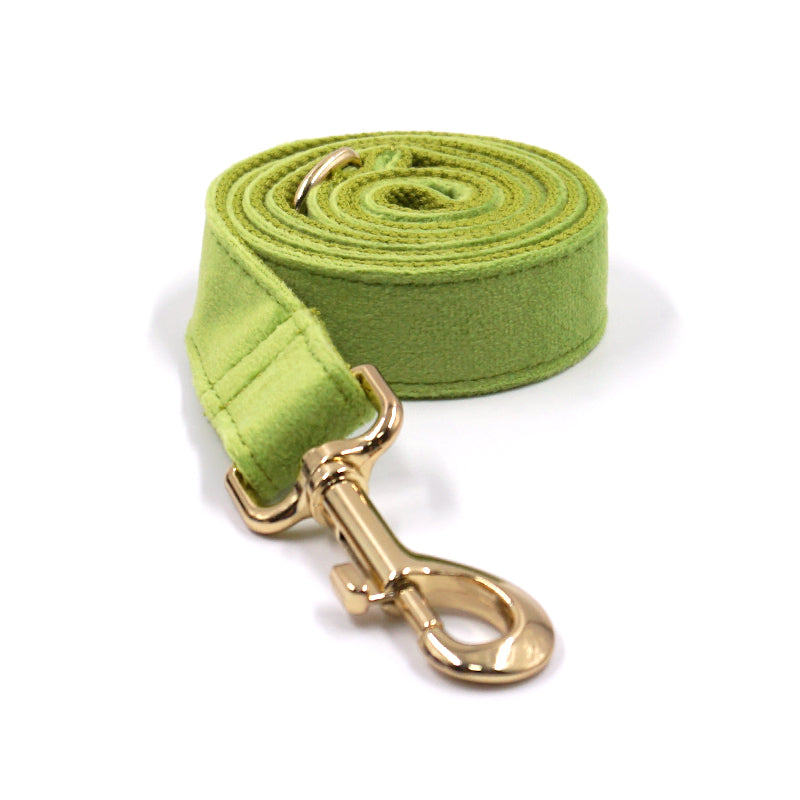 Puptqe Green Velvet Dog Leash