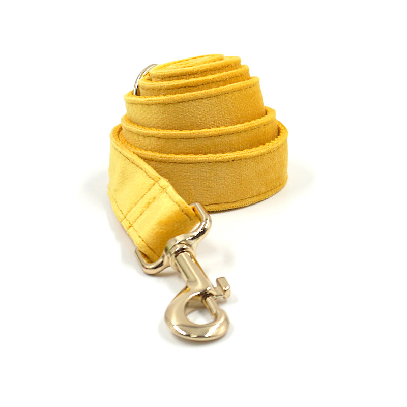 Puptqe Yellow Velvet Dog Leash