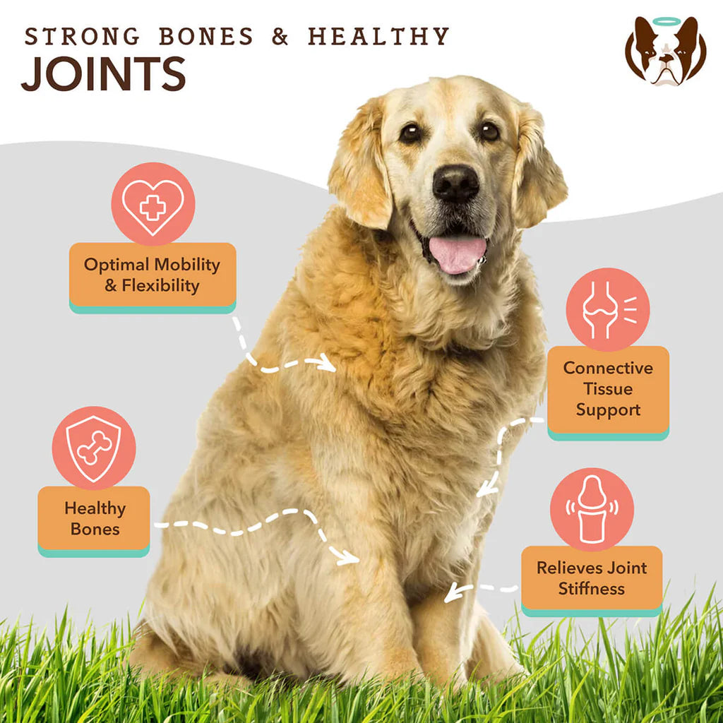 Hip & Joint Oil