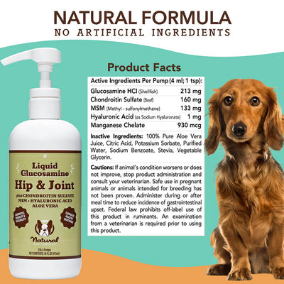Hip & Joint Oil