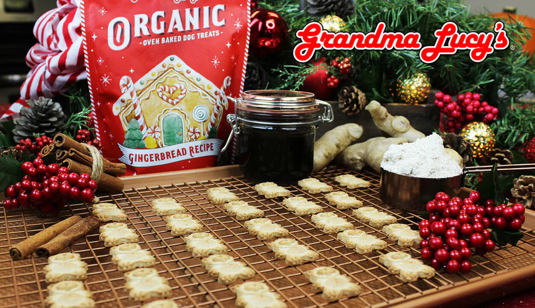 Organic Gingerbread