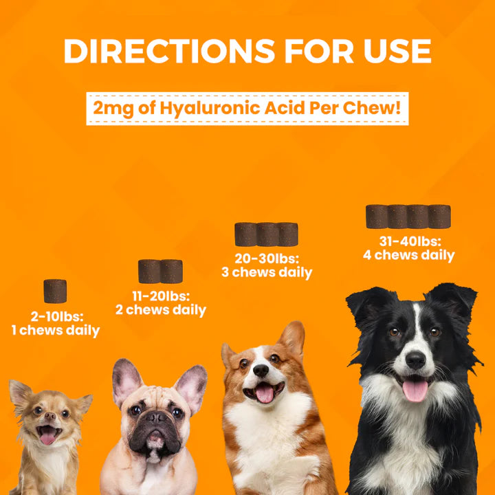 Minis Hip & Joint Soft Chew Supplements