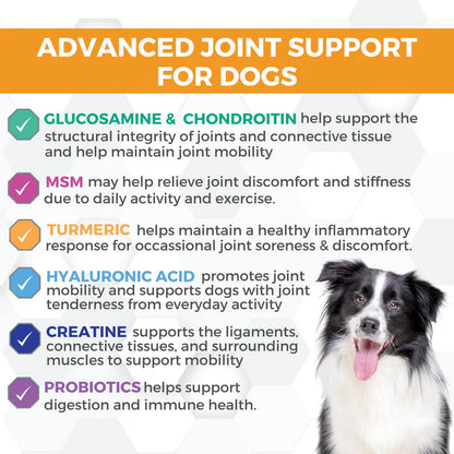 Minis Hip & Joint Soft Chew Supplements