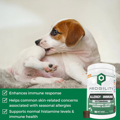 Allergy Relief Large Chew Supplement