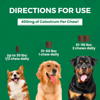Allergy Relief Large Chew Supplement