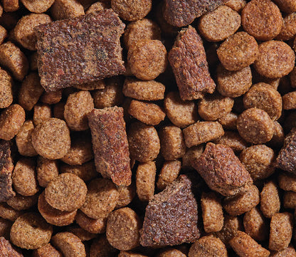 Epic Blend Chicken & Superfood Dry Dog Food