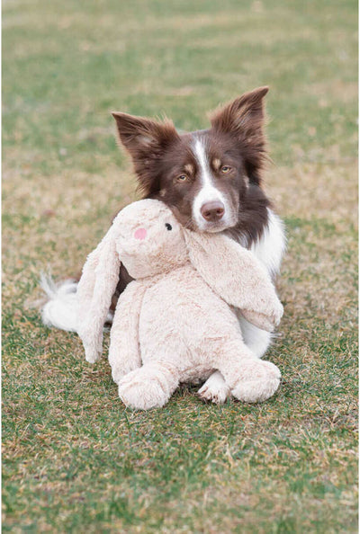 Rabbit Plush Toy