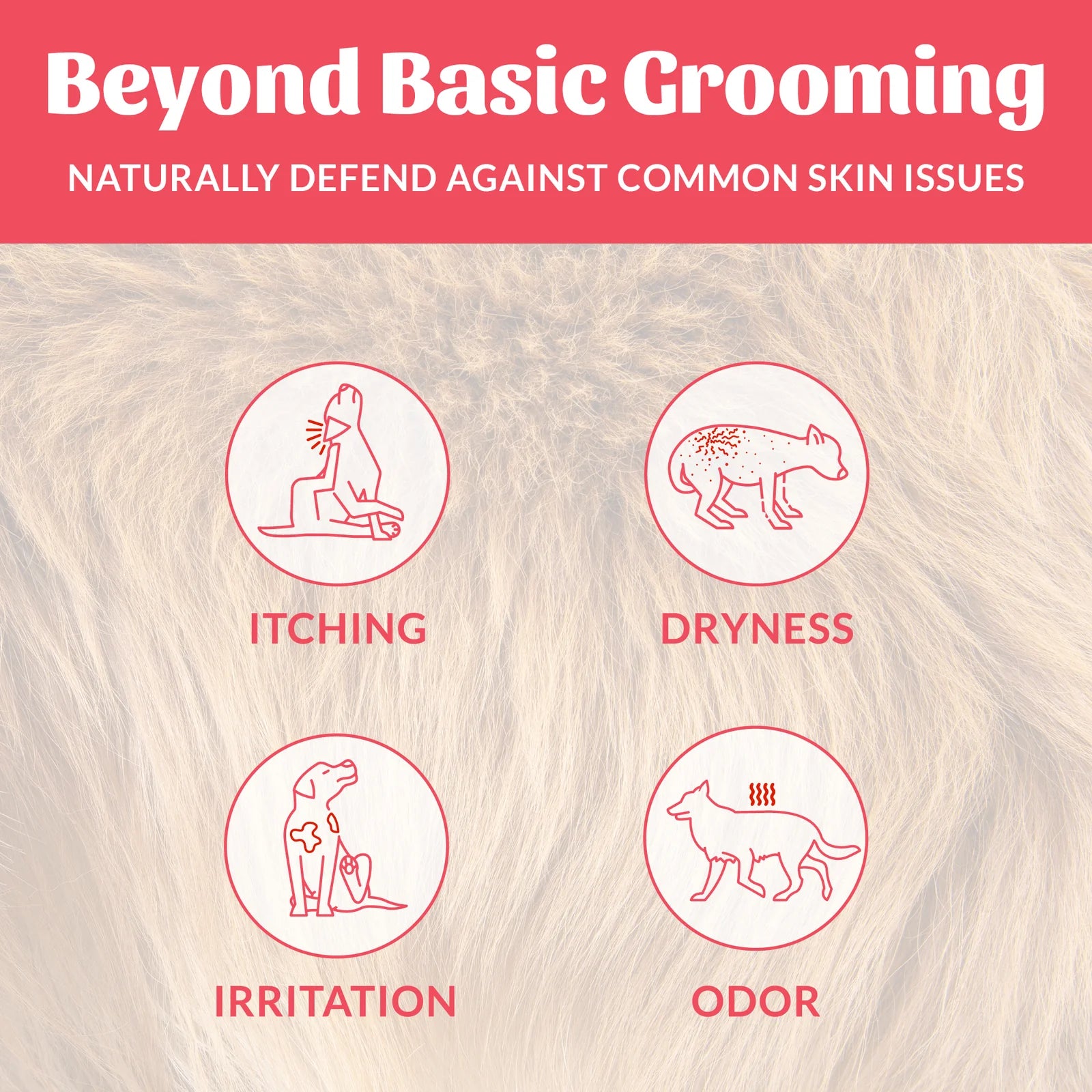 Probiotic Shampoo + Conditioner - Sun-kissed Coconut