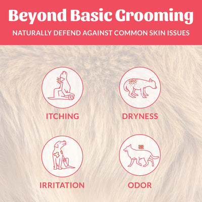 Probiotic Shampoo + Conditioner - Sun-kissed Coconut