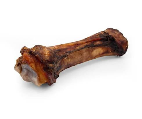 Foreshank Bone 10” - 12”