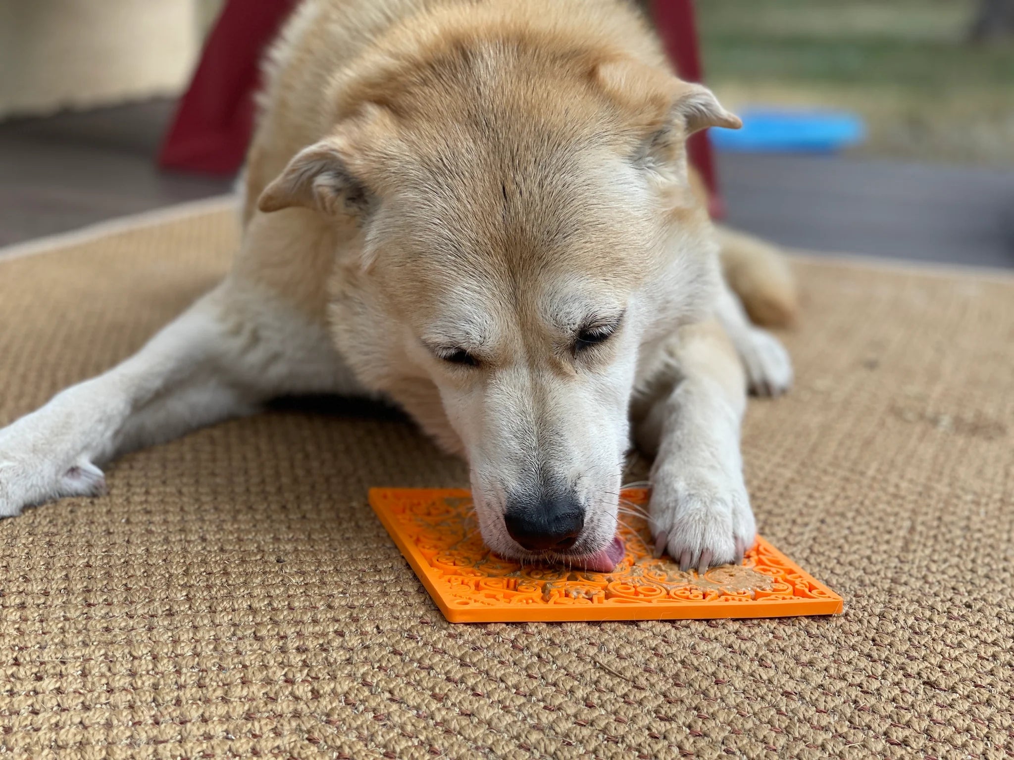 Zombie Enrichment Lick Mat