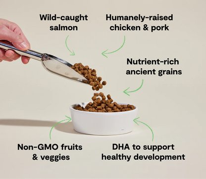 Chicken & Salmon Ancient Grains Puppy Kibble