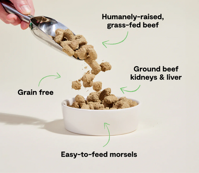 Grass-Fed Beef Freeze Dried Raw Morsels