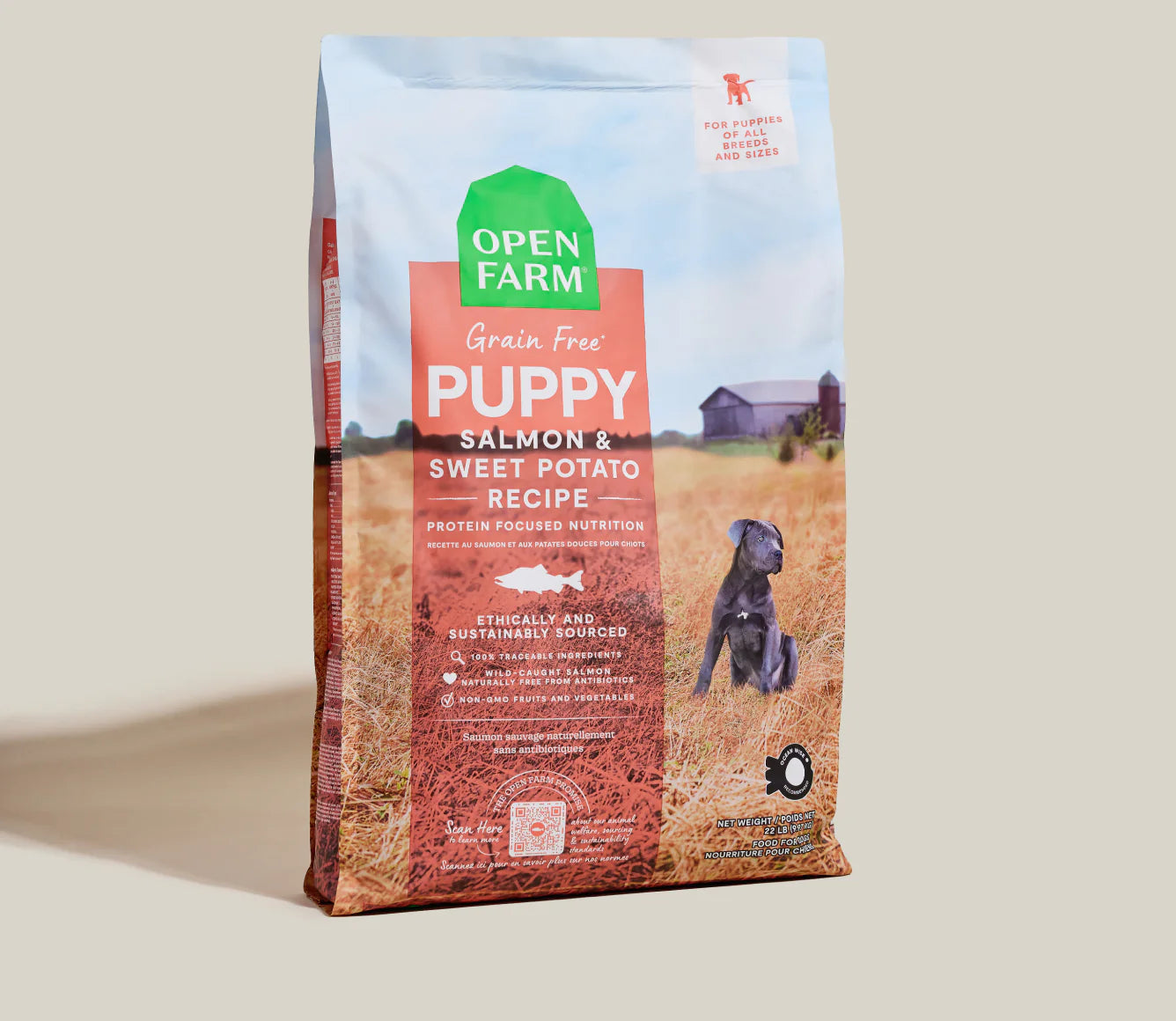 Salmon & Sweet Potato Grain-Free Puppy Kibble