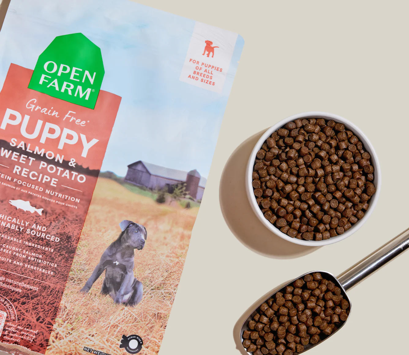Salmon & Sweet Potato Grain-Free Puppy Kibble